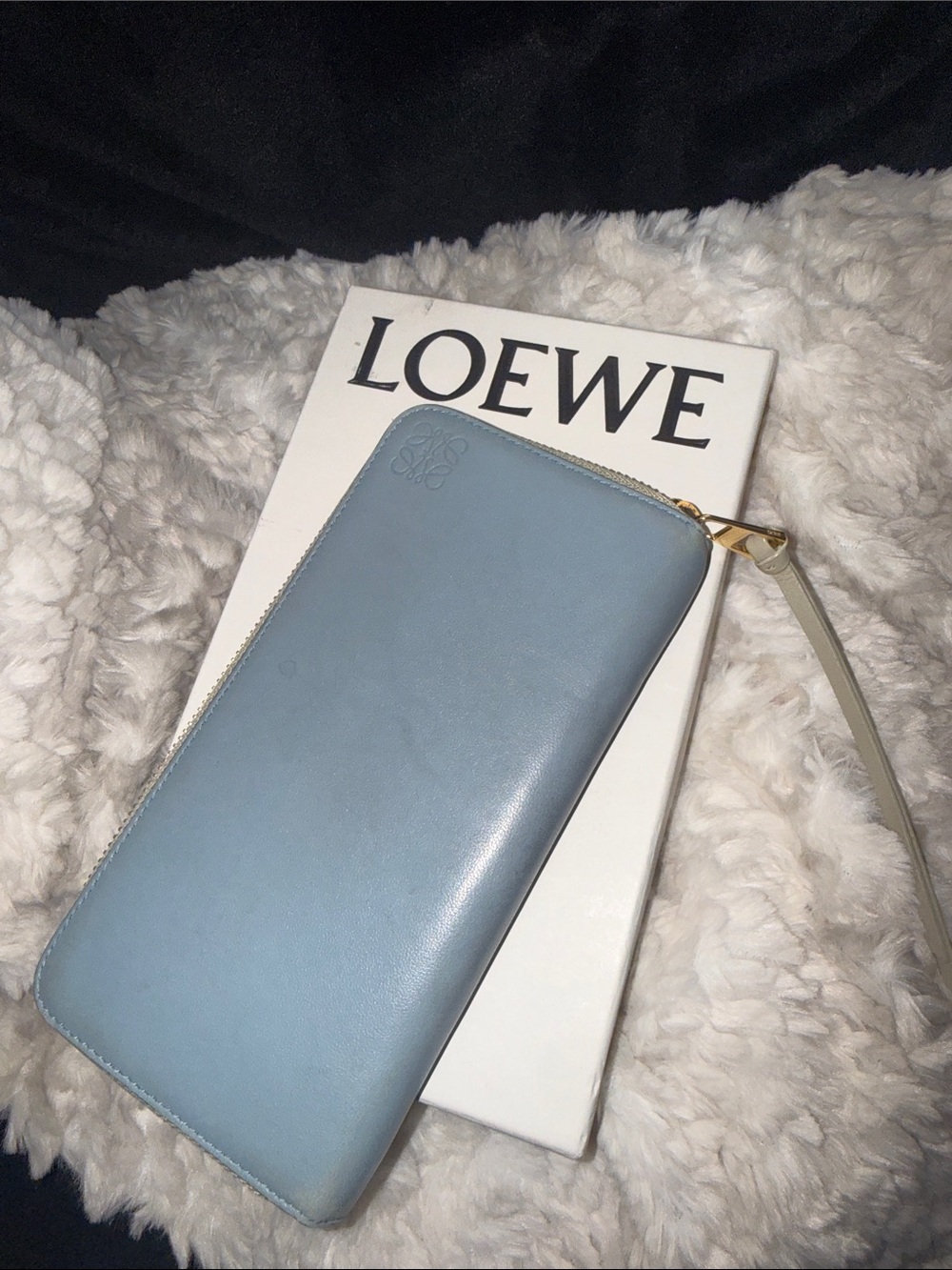 Loewe Pastel Blue Zip-Around Leather Wristlet Wallet with Gold Hardware